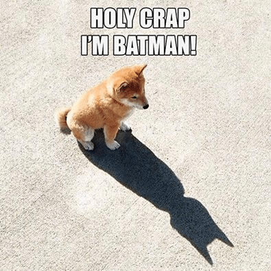 batmandog
