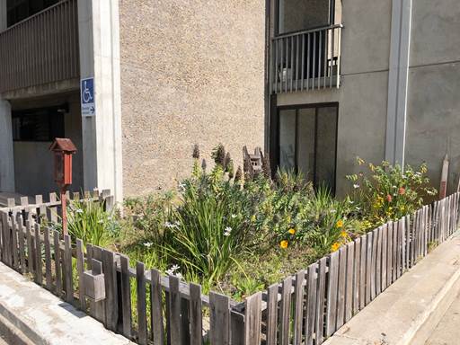 Main Gym UC San Diego