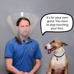 04.03.20-1.png